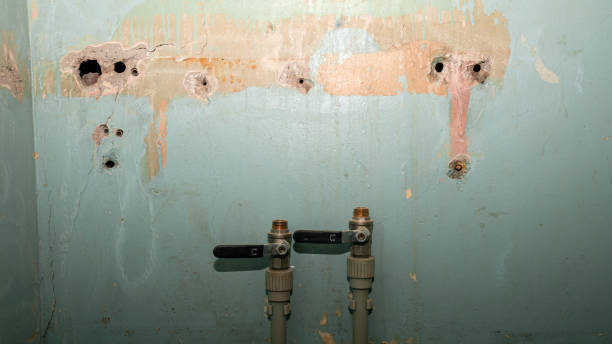 Best Flooded house restoration  in Shelbyville, TN