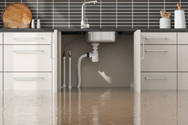 Best Sewage cleanup and water damage restoration  in Shelbyville, TN