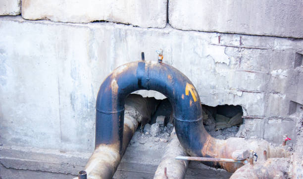 Best 24/7 water damage repair  in Shelbyville, TN