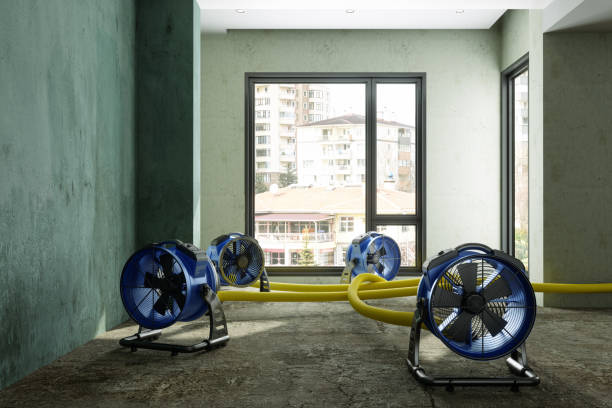 Best Fire Damage Restoration  in Shelbyville, TN